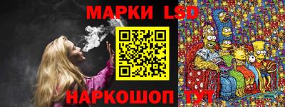 шишки Обнинск