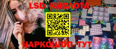 спиды Обь