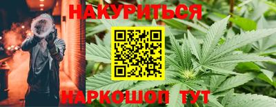 спиды Обь