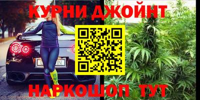 шишки Обнинск