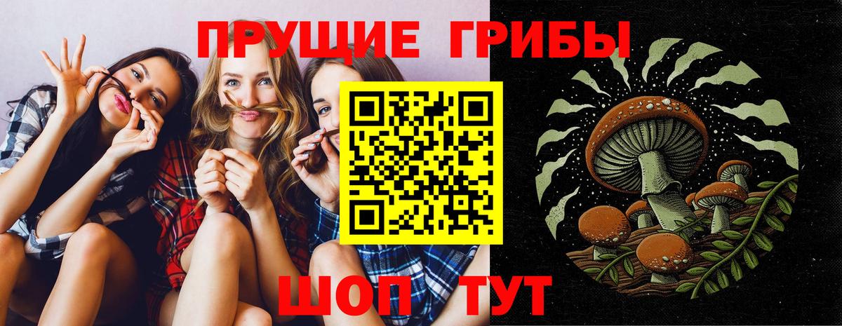 Псилоцибиновые грибы прущие грибы  Вход с VPN  Саров 